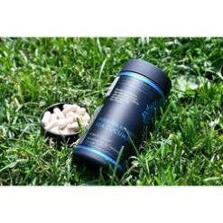 Nova Sea Atlantic Sea Cucumber - 120 Capsules Fixed Size -Personal Care Products Store 115728052113774 3