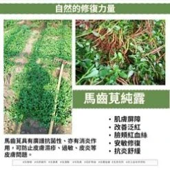 Health Lab Ancient Purslane Hydrosol (Anti Allergic, Anti Inflammatory And Anti Acne) Fixed Size Fixed Size -Personal Care Products Store 122031225560176 4