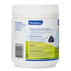 Maxigenes Maxigenes Chewable Milk Calcium With Blueberry 300g - 150 Chewable Tablets 150pcs -Personal Care Products Store 31012899871 2